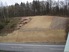 Felswandsanierung Autobahn